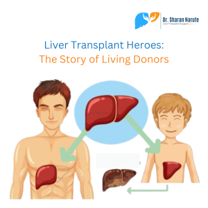 liver