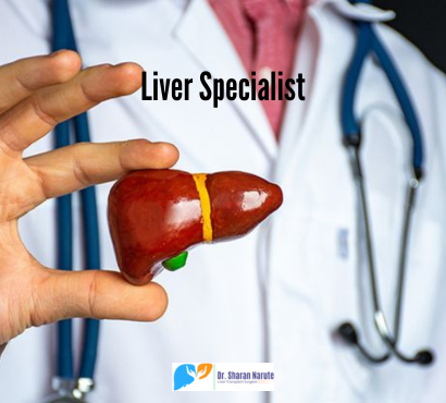 liver-doctor-banner